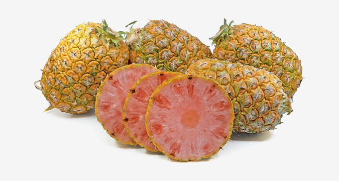 https://pinemelon.com/image/f/10576-pink_pineapple.jpg?w=360&h=360&_c=1697130930