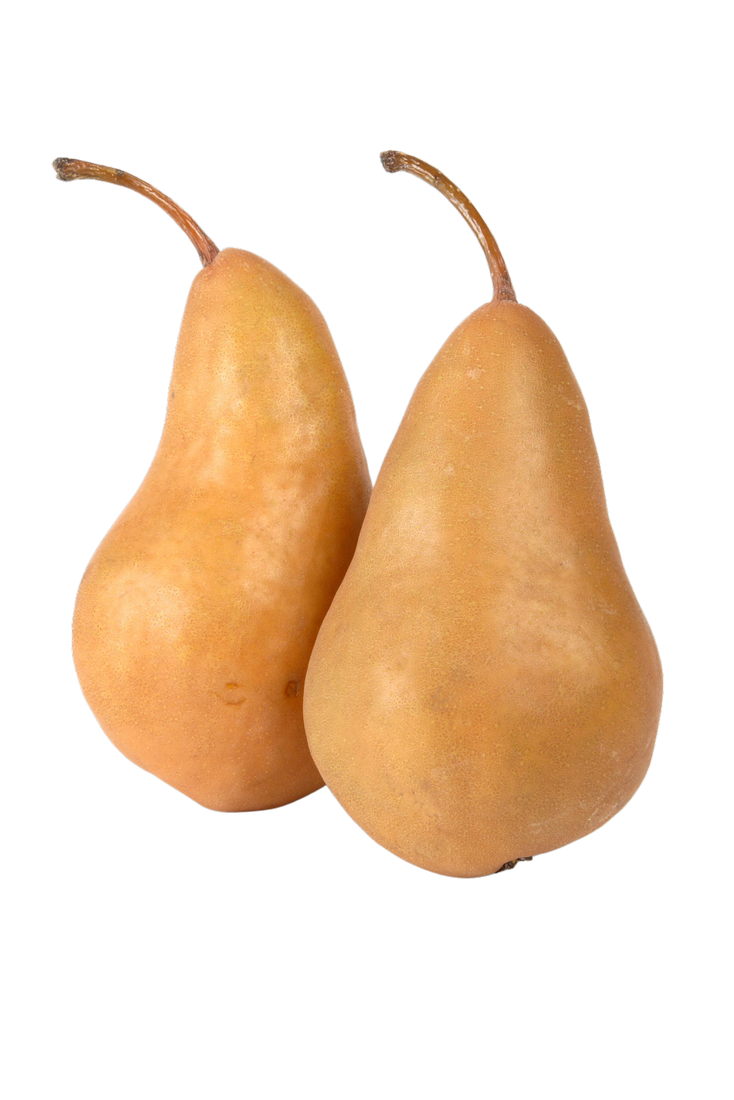 Organic Bosc Pears, 2 pack delivery in Denver, CO