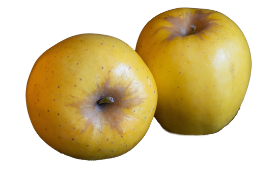 Order Organic Opal Apples