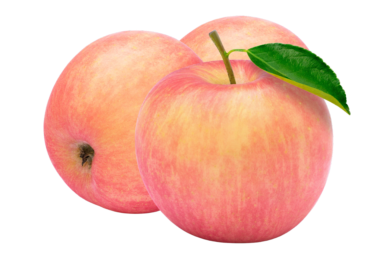 https://pinemelon.com/image/f/12944-organic_fuji_apples_3_pack.jpg?w=1100&h=1100&_c=1702574962