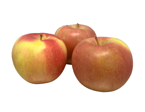 Organic Honeycrisp Apples, 6 pack delivery in Denver, CO