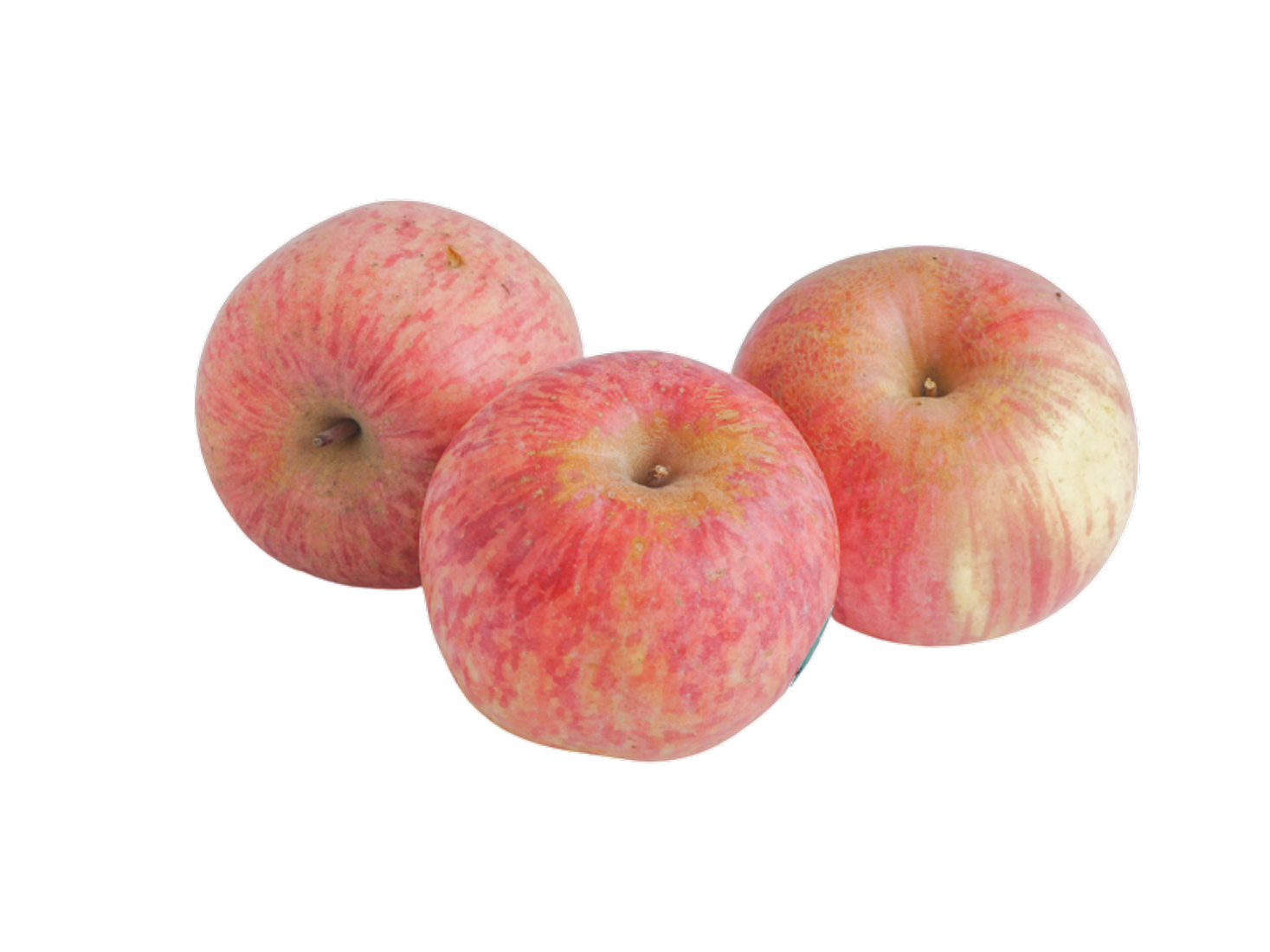 https://pinemelon.com/image/f/14080-ela_family_farm_fuji_apples_1_lb.jpg?w=1100&h=1100&_c=1703784125