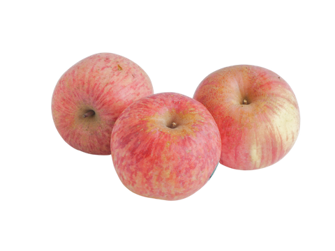Colorado Organic Fuji Apples, 3 pack delivery in Denver, CO